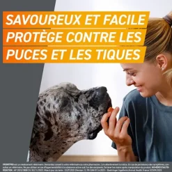 Frontpro Chien comprimé anti puces