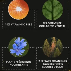 Garancia l'Appel de la Forêt poudre magique éclat & jeunesse