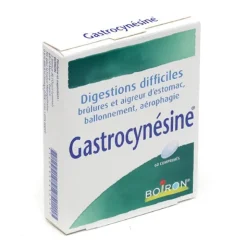 Gastrocynésine Boiron comprimé