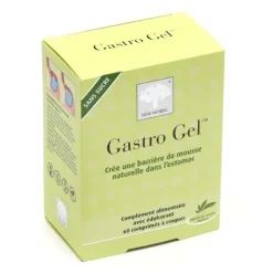 Gastro Gel sans sucre comprimés à croquer