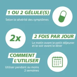 GaviDigest Constipation gélules