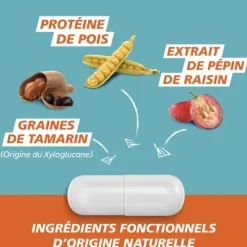 GaviDigest Diarrhée gélules