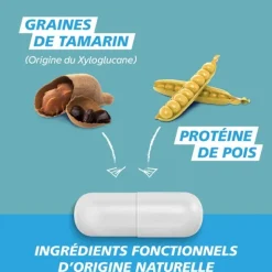 GaviDigest Flatulences et ballonnements gélules