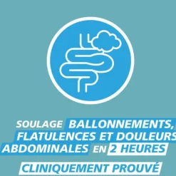 GaviDigest Flatulences et ballonnements gélules