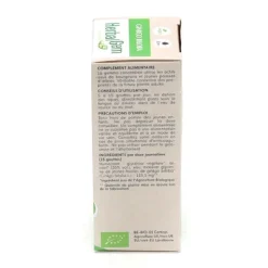 Ginkgo biloba Macérat de bourgeons bio