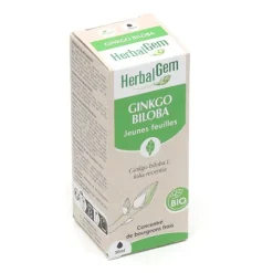 Ginkgo biloba Macérat de bourgeons bio
