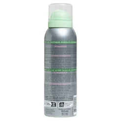 Ginkor Frais Gelée fraîcheur boost