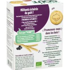 Good Goût Biscuits des bois Cassis Châtaigne Bio
