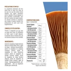 Granions Champignons adaptogènes comprimés