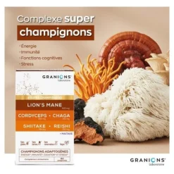 Granions Champignons adaptogènes comprimés