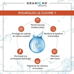 Granions Cuivre gélules