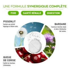 Granions Détox globale comprimés effervescents