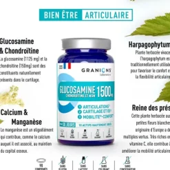 Granions Glucosamine Chondroïtine et MSM 1500 mg comprimés