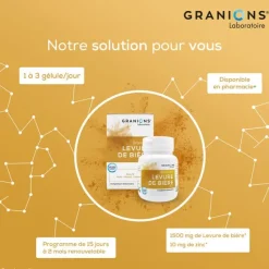 Granions Levure de bière et Zinc gélules