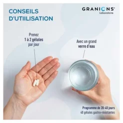 Granions Probiotiques Flore intestinale gélules