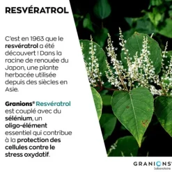Granions resvératrol 200 mg comprimés