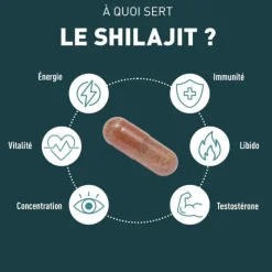 Granions Shilajit 1000 mg gélules