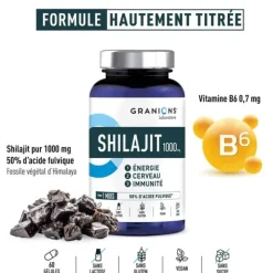 Granions Shilajit 1000 mg gélules