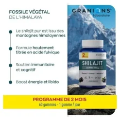 Granions Shilajit 800 mg gummies