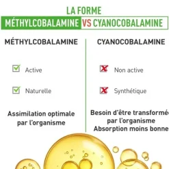 Granions Vitamine B12 comprimés