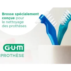 Gum brosse pour prothèse dentaire