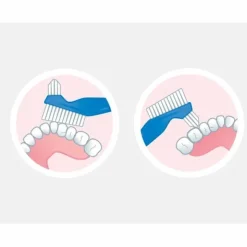 Gum brosse pour prothèse dentaire