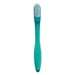 Gum brosse pour prothèse dentaire
