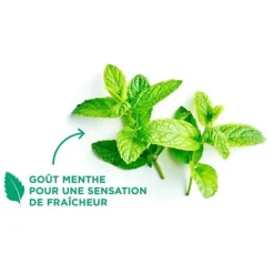 Gum Easy Flossers porte-fil dentaire ciré menthe