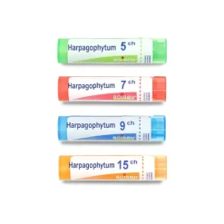 Harpagophytum Boiron granules