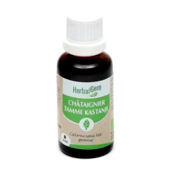 HerbalGem Chataignier macérat de bourgeons bio