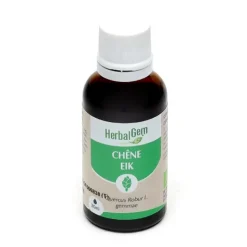 Herbalgem Chêne Concentré de bourgeons bio