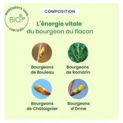 Herbalgem Detox Express bio monodoses