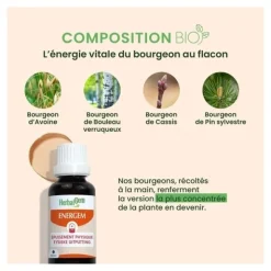 HerbalGem Energem épuisement physique Bio