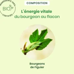 HerbalGem Figuier Concentré de bourgeons frais bio