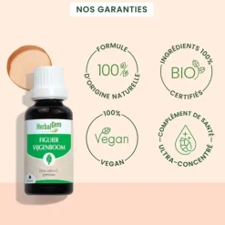 HerbalGem Figuier Concentré de bourgeons frais bio