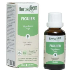 HerbalGem Figuier Concentré de bourgeons frais bio