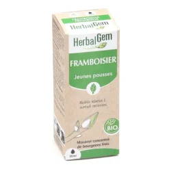 HerbalGem Framboisier Macérat concentré de bourgeons frais bio