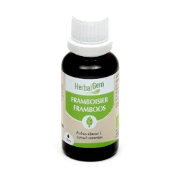 HerbalGem Framboisier Macérat concentré de bourgeons frais bio