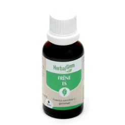 HerbalGem Frêne concentré de bourgeons frais bio