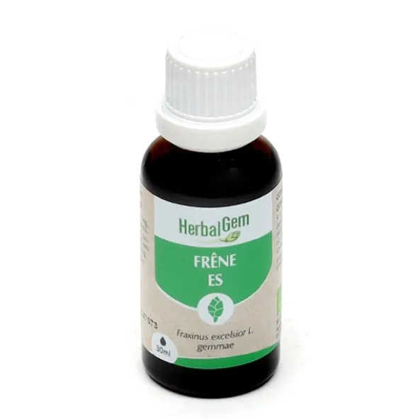 HerbalGem Frêne concentré de bourgeons frais bio