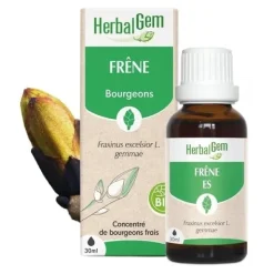 HerbalGem Frêne concentré de bourgeons frais bio