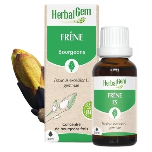 HerbalGem Frêne concentré de bourgeons frais bio