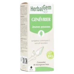 HerbalGem Genévrier Macérat de bourgeons bio