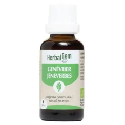 HerbalGem Genévrier Macérat de bourgeons bio