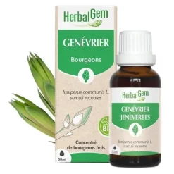 HerbalGem Genévrier Macérat de bourgeons bio