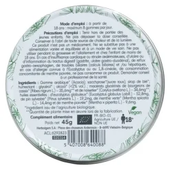 HerbalGem gommes gorge bio Fumeurs
