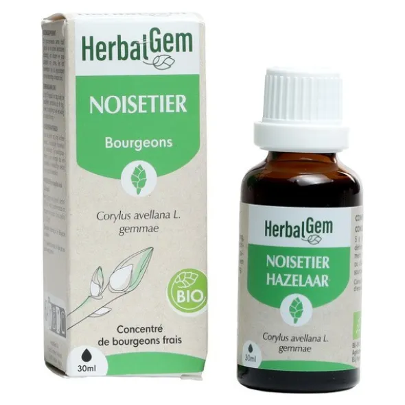 HerbalGem Noisetier Concentré de bourgeons frais bio