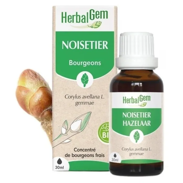 HerbalGem Noisetier Concentré de bourgeons frais bio