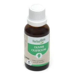 HerbalGem Olivier Jeunes pousses bio
