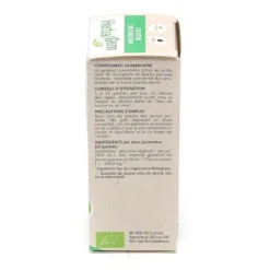 HerbalGem Olivier Jeunes pousses bio